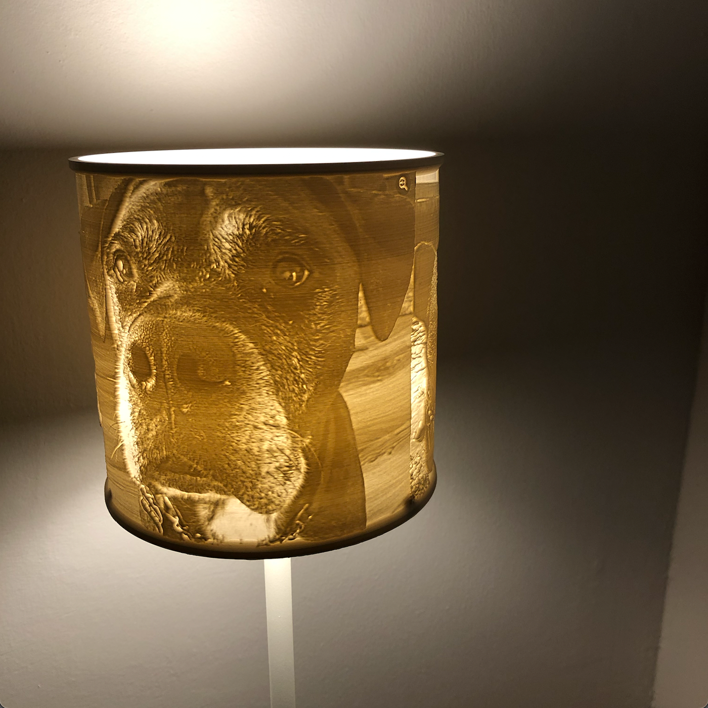 Personalised Lithophane Lamp