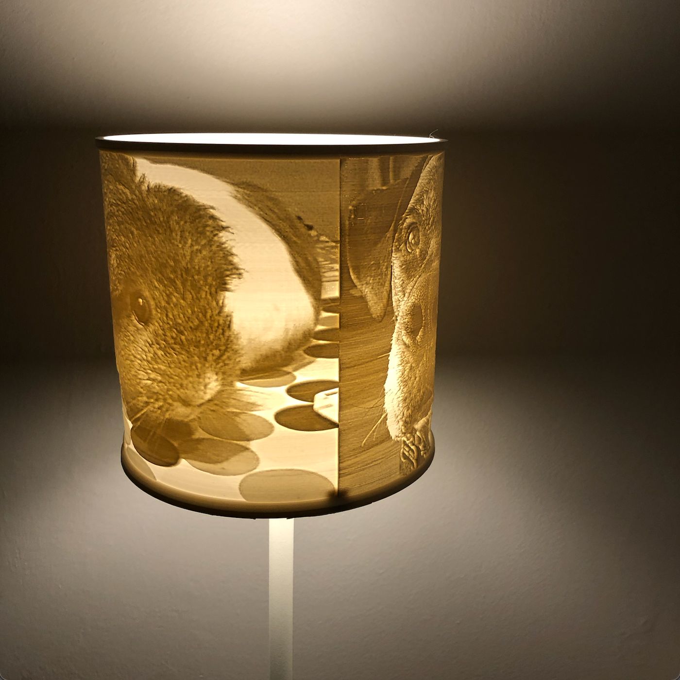 Personalised Lithophane Lamp