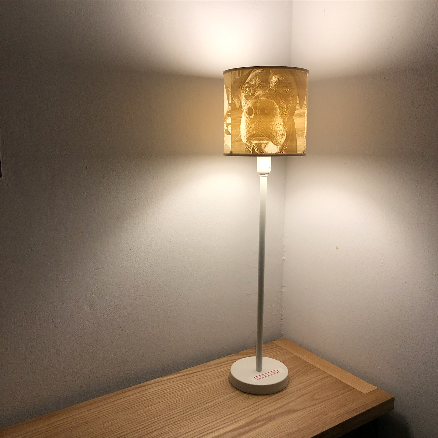  Personalised Lithophane Lamp